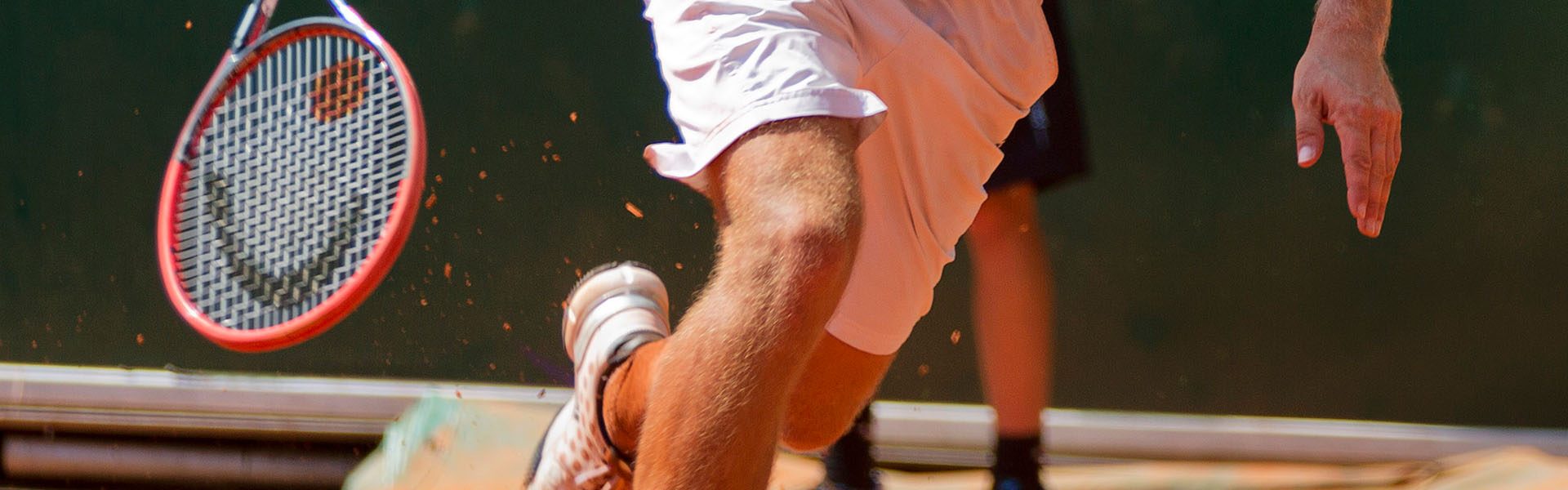 Davis Cup Austria-Netherlands